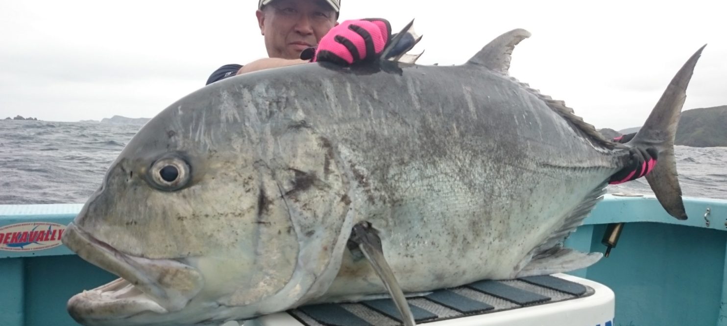 Colony 千葉 ソルトウォーター専門釣具店